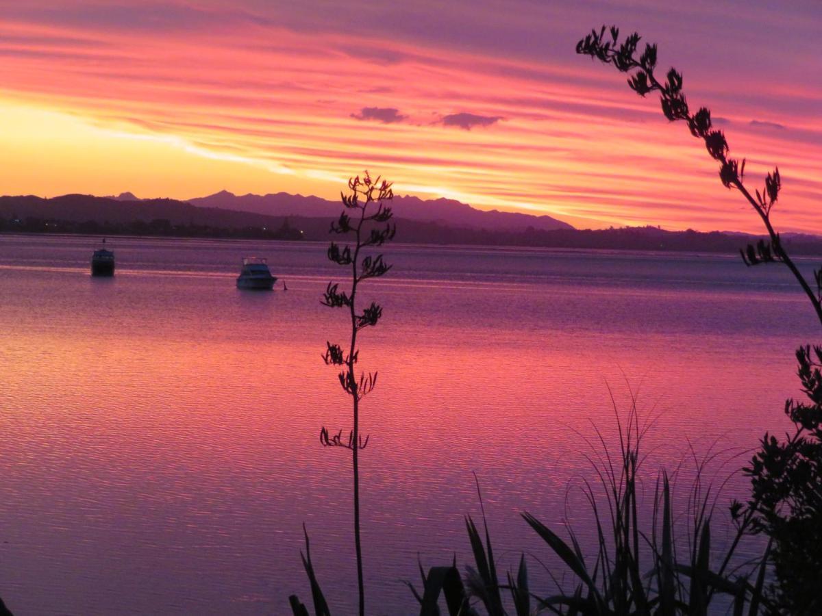 The Fish And Jandal Apartment Whangarei Heads Bagian luar foto